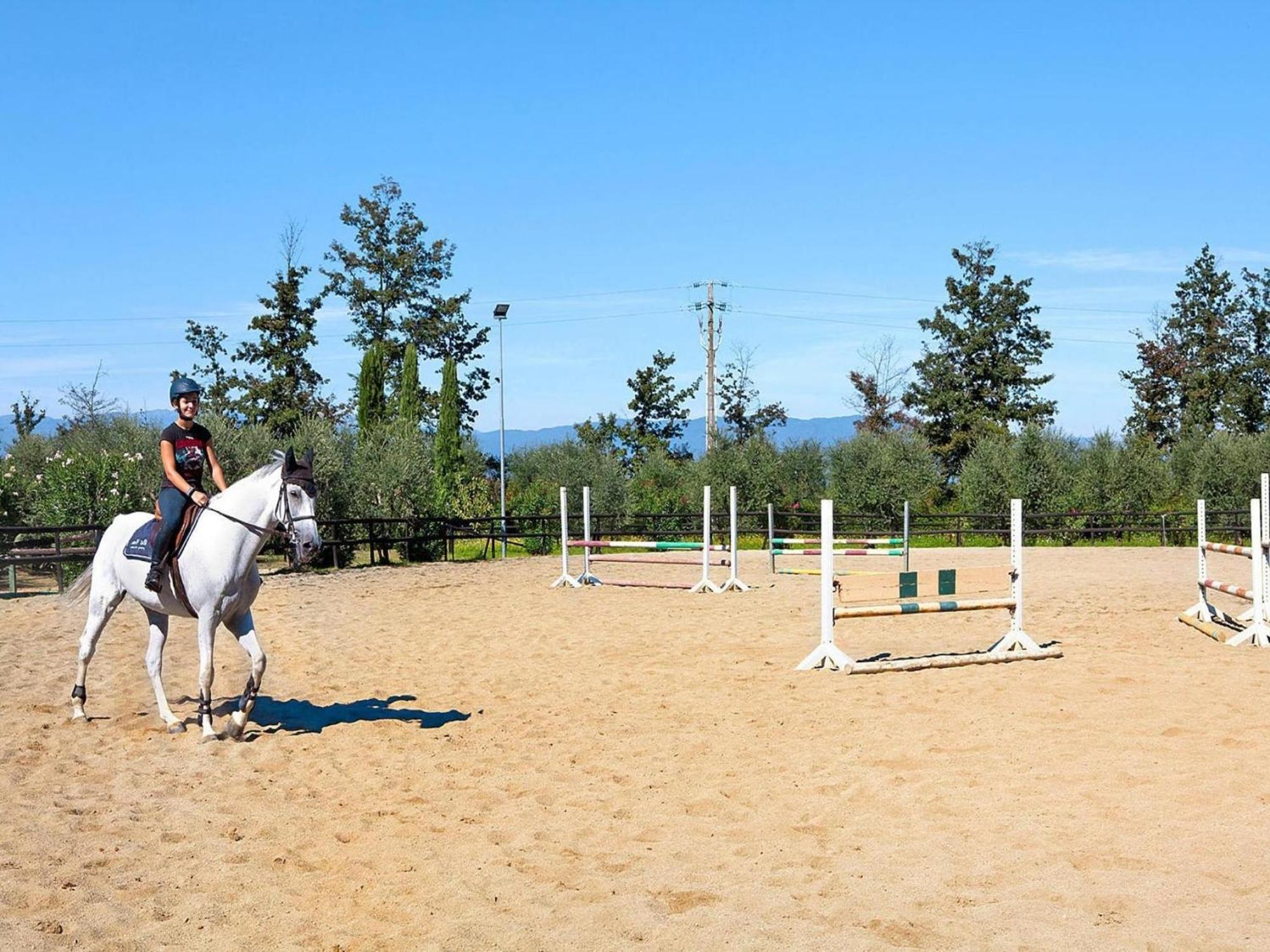 Hesse Farm Holiday Borgo Pinete Le Vedute ภายนอก รูปภาพ